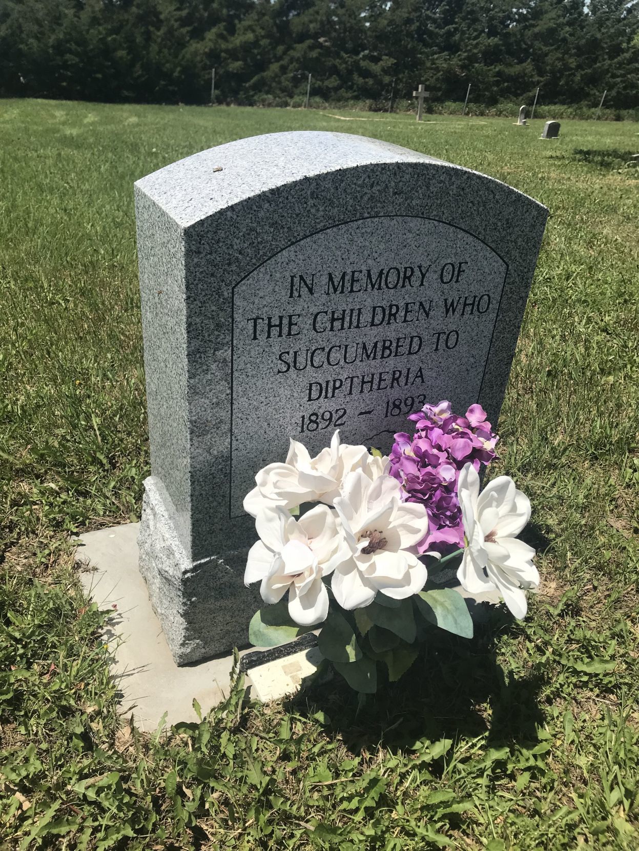 Paplin diphtheria memorial